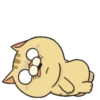 Thomas cat 18