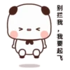 PeachCAT 19