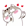 LINDO GATITO mov. 18
