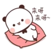PeachCAT 20