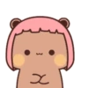 PeachCAT 21