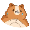 Hamster Bernard 18