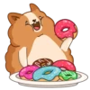 Hamster Bernard 19