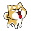 PERRO SOLITARIO 13
