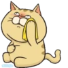 Thomas cat 21