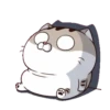 LINDO GATITO mov. 19