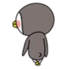 PINGÜINO mov. 18