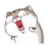 LINDO GATITO mov. 21