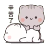 Mochi 1 23