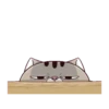 LINDO GATITO mov. 22