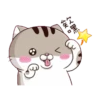 LINDO GATITO mov. 23