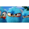 Baby Angry Birds 27