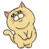 Thomas cat 22
