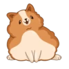 Hamster Bernard 21