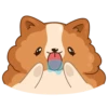 Hamster Bernard 22