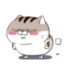 LINDO GATITO mov. 28