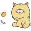 Thomas cat 24