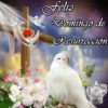 PASCUA 2Mov 26
