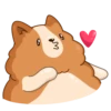 Hamster Bernard 24