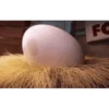 Baby Angry Birds 29