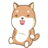 PERRITO-CUTE2 6