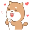 PERRITO-CUTE2 7