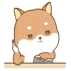 PERRITO-CUTE2 8