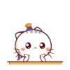 Wen Small Meow 8