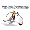 Bull Terrier Mov 6