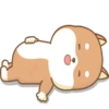 PERRITO-CUTE2 9