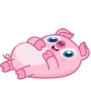 Wallow Pig 6