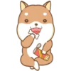 PERRITO-CUTE2 10