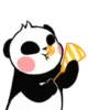panditas bonitos  Movi 6