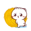 Wen Small Meow 11