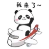 panditas bonitos  Movi 9