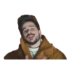 Puro perro 11