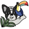 Perrito Viajero (Mov) 9