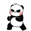 panditas bonitos  Movi 10