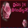Bendiciones   ️1 Movi 11