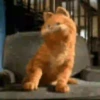 Garfield 1 Movi 8