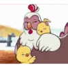 yellow chicks 🐥🐤🐥🐤 8
