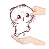 Wen Small Meow 13