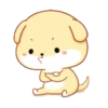 PUPPY.  mov. 10