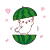Loving kitten 7