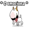 Bull Terrier Mov 9