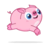 Wallow Pig 12