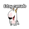 Bull Terrier Mov 10