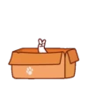 Wen Small Meow 14