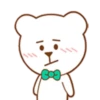 Urso Branco 9