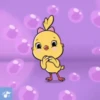 yellow chicks 🐥🐤🐥🐤 13
